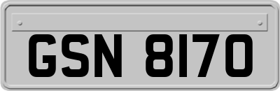 GSN8170