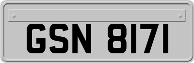 GSN8171