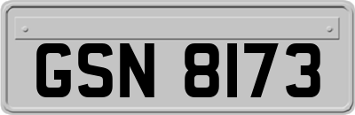 GSN8173