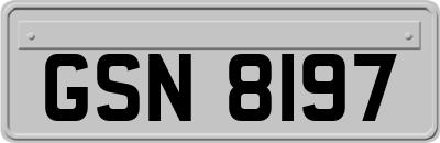 GSN8197