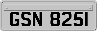 GSN8251