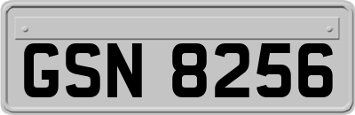 GSN8256