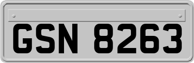 GSN8263