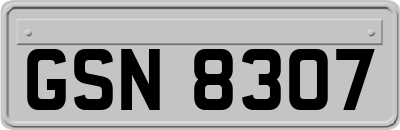 GSN8307