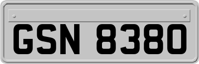 GSN8380