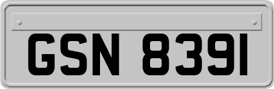 GSN8391