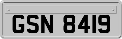 GSN8419