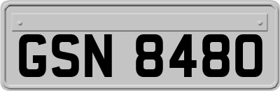 GSN8480