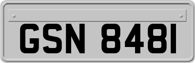GSN8481