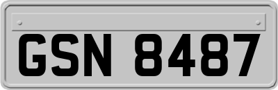 GSN8487