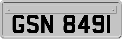 GSN8491