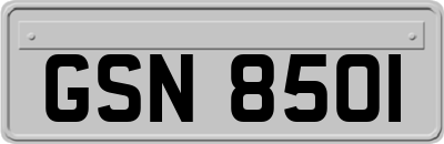 GSN8501