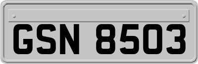 GSN8503
