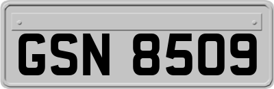 GSN8509
