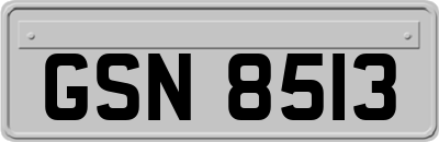 GSN8513