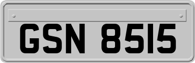 GSN8515