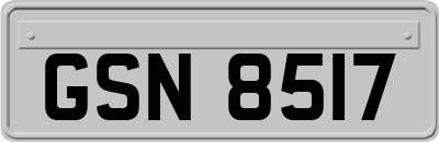 GSN8517