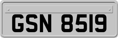 GSN8519