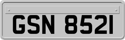 GSN8521