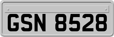 GSN8528
