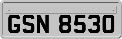 GSN8530