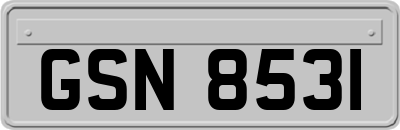 GSN8531