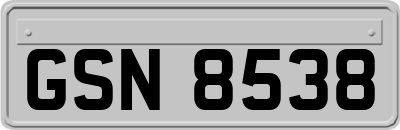 GSN8538