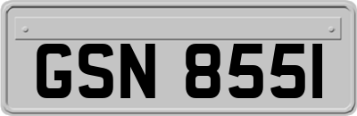 GSN8551