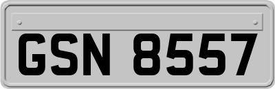 GSN8557