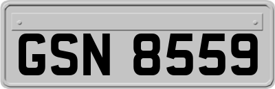 GSN8559