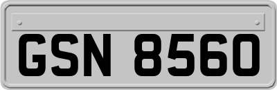GSN8560