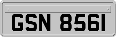 GSN8561