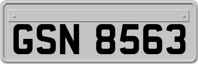 GSN8563
