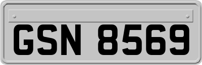 GSN8569