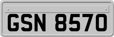 GSN8570
