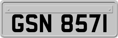 GSN8571