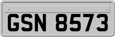 GSN8573