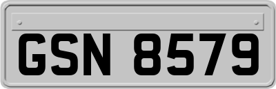 GSN8579