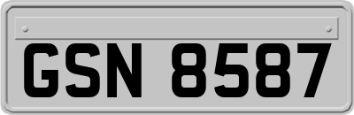 GSN8587