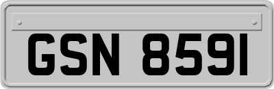 GSN8591