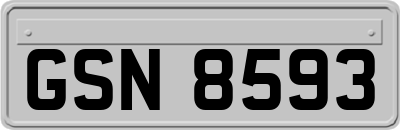 GSN8593