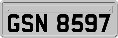 GSN8597