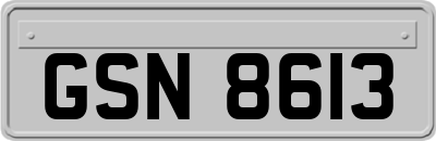 GSN8613