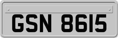 GSN8615