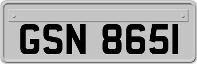 GSN8651