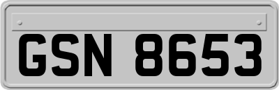 GSN8653