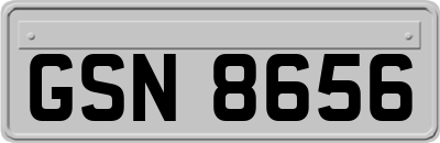 GSN8656