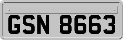 GSN8663