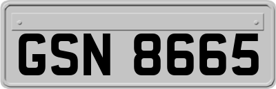 GSN8665