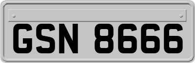 GSN8666